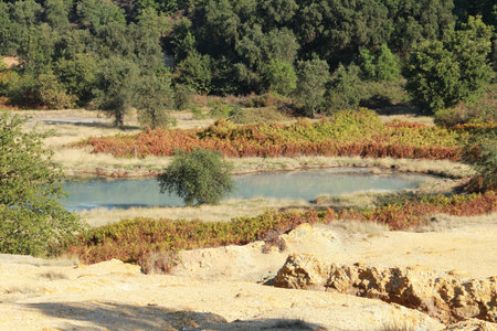 Sulfur of Pomezia near Rome