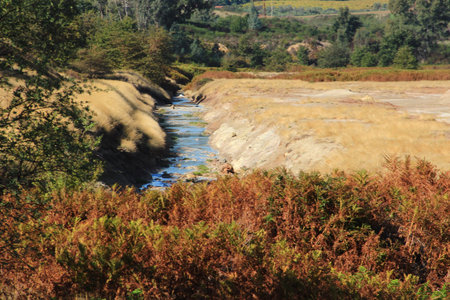 Sulfur of Pomezia near Rome