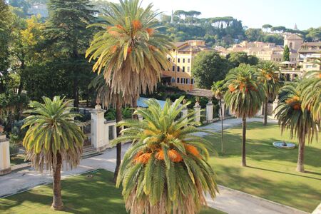 Corsini Palace in Rome, Italyの写真素材