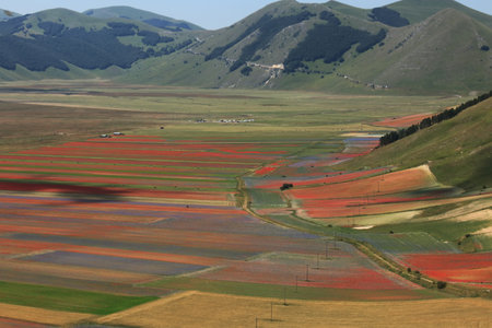 The unique spectacle of the flowering of Castelluccio di Norcia in central Italy
