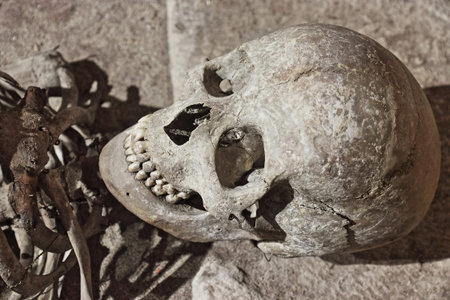 Still life with human skull and crossbones on the stone background in the Centrale Montemartini...