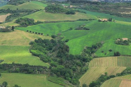 Rural landscape in Tuscany, Italy, at summer.