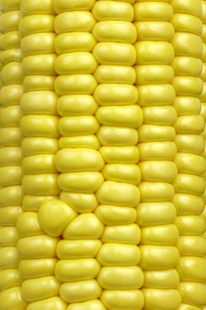 Corn