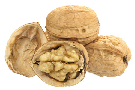 Walnuts isolated on white 