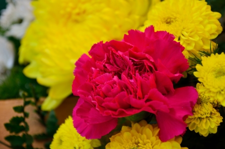 A beautiful flowers in a vase  pink  carnations   yellow chrysanthemum close up の写真素材