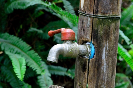 The faucet and pipe hidden in the old bamboo at Mae Fah Luang Arboretum Chiang Rai province northern of Thailand の写真素材