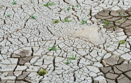 Pattern natural background of cracked soilの写真素材