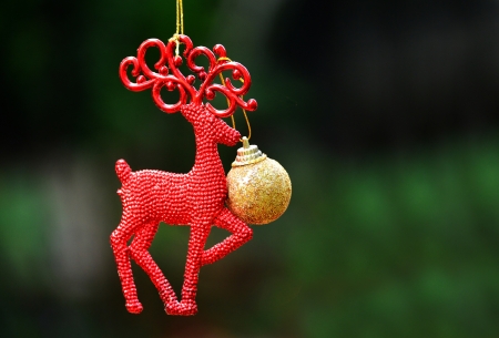Red reindeer and gold christmas ball の写真素材