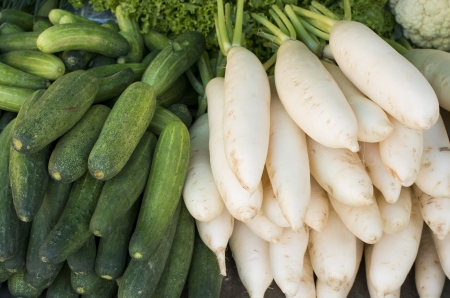 Cucumbers and Daikon Radishes の写真素材
