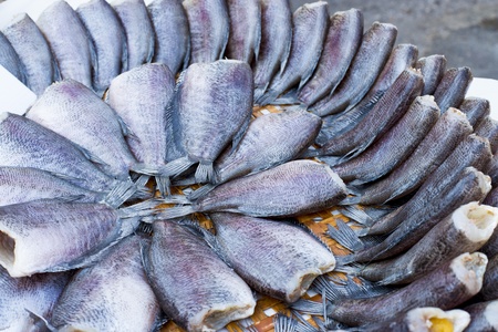 Dried Sepat Siam, Dried Snakeskin gourami  Trichogaster pectoralis の写真素材