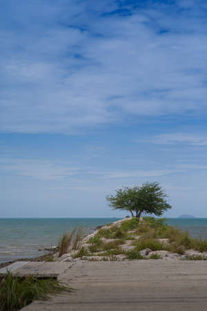 Ban Am phor,Thailandの写真素材