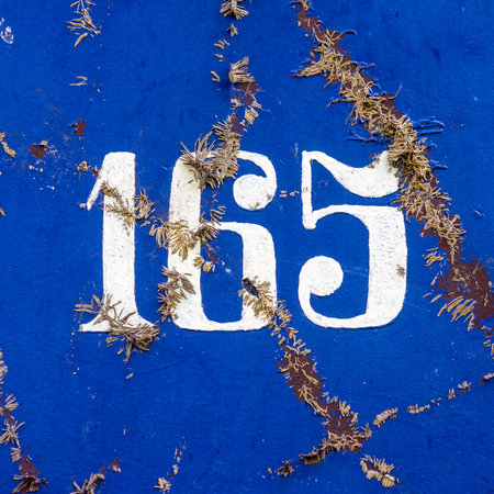 painted house number one hundred and sixty nine. Damaged by ivy remains.