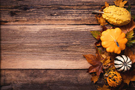 Autumn leaves with colorful pumpkins over a textured vintage rustic wooden background with copy spaceの写真素材