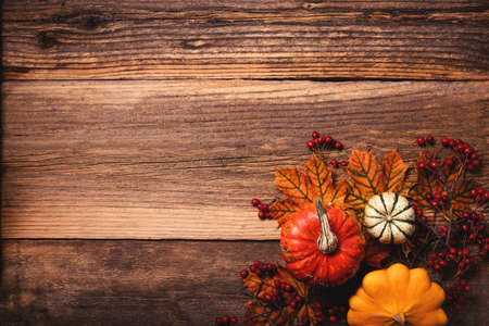 Autumn leaves with dogberry and colorful pumpkins over a textured vintage rustic wooden background with copy spaceの写真素材