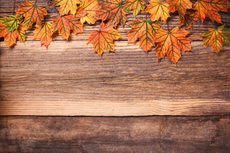Autumn leaves over a textured vintage rustic wooden background with copy spaceの写真素材