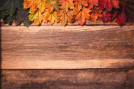 Colorful autumn leaves over a textured vintage rustic wooden background with copy spaceの写真素材