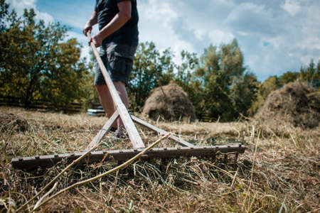 Middle-aged farmer making a haystack with a pitchfork for the winter on a sunny day in autumn. Agricultural work. Hay harvesting.の写真素材