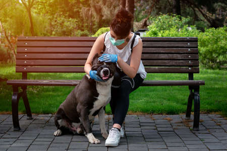 young women in medical mask sitting on a bench in the park with his dog.  Active quarantine life in the  outbreak wearing gloves.の写真素材