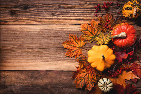 A group of autumn leaves with dogberry and colorful pumpkins over a textured vintage rustic wooden background with copy spaceの写真素材