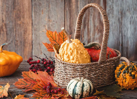 Image of an autumn nature concept. Dogberry, pumpkinsin a basket, colorful leaves  on a wooden table as a background.の写真素材