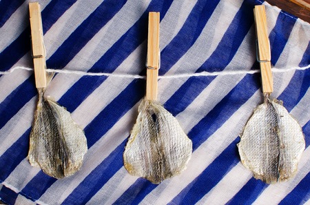 Dried fish on a clothespin on a blue backgroundの写真素材