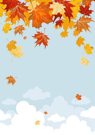 Maple leavesのイラスト素材