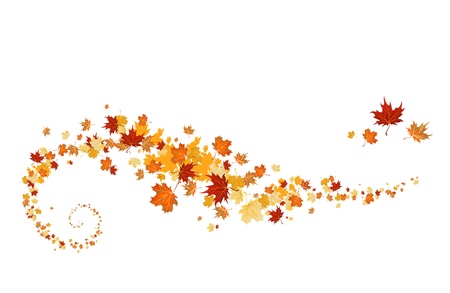 Swirl of maple leavesのイラスト素材