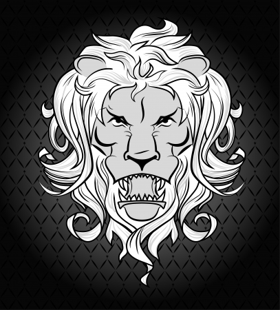 illustration of lion headのイラスト素材
