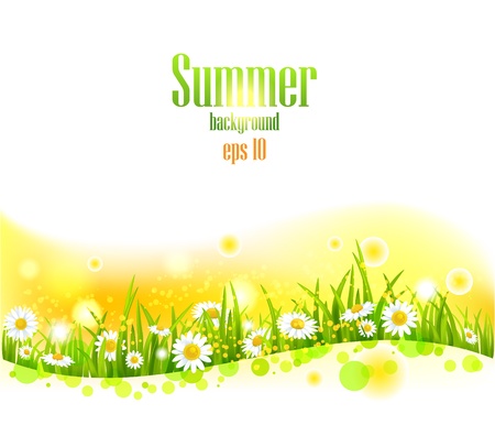 Bright summer flowers  background with space for text.のイラスト素材