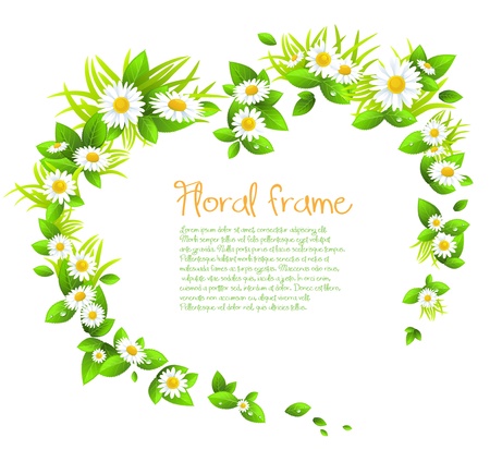  Chamomile flowers frame with space for text.のイラスト素材