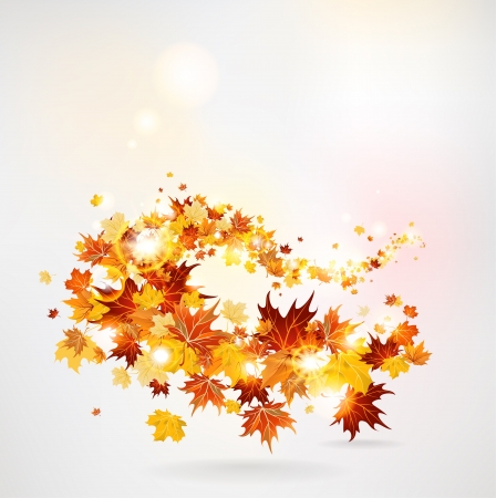 Swirl of maple leaves のイラスト素材