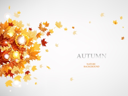 Flying autumn leaves background with space for text.  のイラスト素材