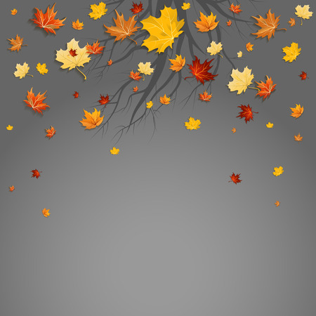 Maple leaves and silhouette of branch on dark background with copy space.のイラスト素材