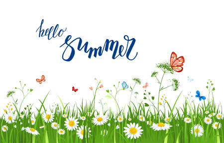 summer green grassのイラスト素材