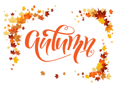 Fall leaves decoration set for design banner, ticket, leaflet, card, poster and so on.のイラスト素材