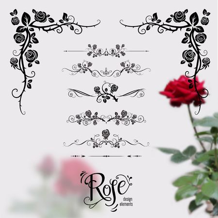 Roses design elementsのイラスト素材