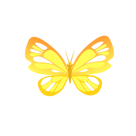Beautiful butterfly isolated. Insect icon. Vector illustrationのイラスト素材