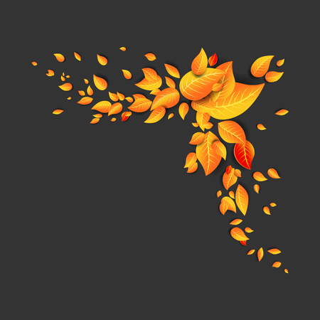 Fall yellow leaves decoration. Autumn vector illustration for design banner, ticket, leaflet, card, poster and so onのイラスト素材