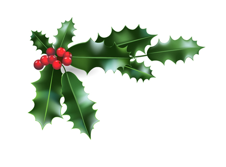 Christmas festive holly decoration. Holiday nature symbol for design banner, ticket, poster, invitation or card, leaflet and so on.のイラスト素材