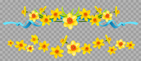 Floral borders set with daffodils on transparent background.のイラスト素材