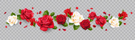 Transparent banner with rosesのイラスト素材