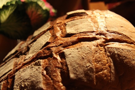 Breadの写真素材