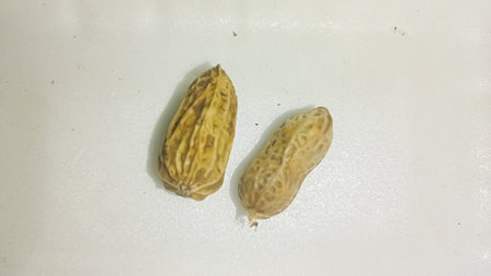 Dried peanuts on a white background. Close-up view.