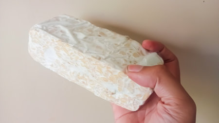 Raw Organic Tempeh - Traditional Indonesian Plant-Based Proteinの写真素材