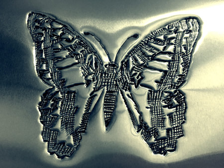 Crafted butterfly on silver plateの素材