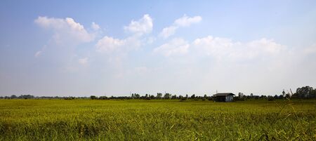Fieldの写真素材