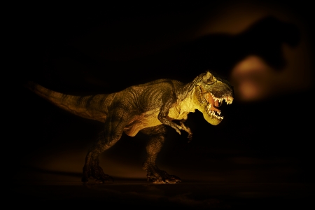 dinosaurの写真素材