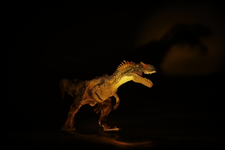 dinosaurの写真素材