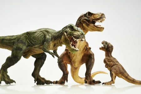 dinosaurの写真素材