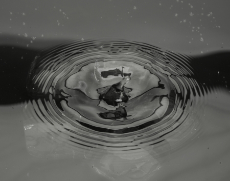 water dropの写真素材